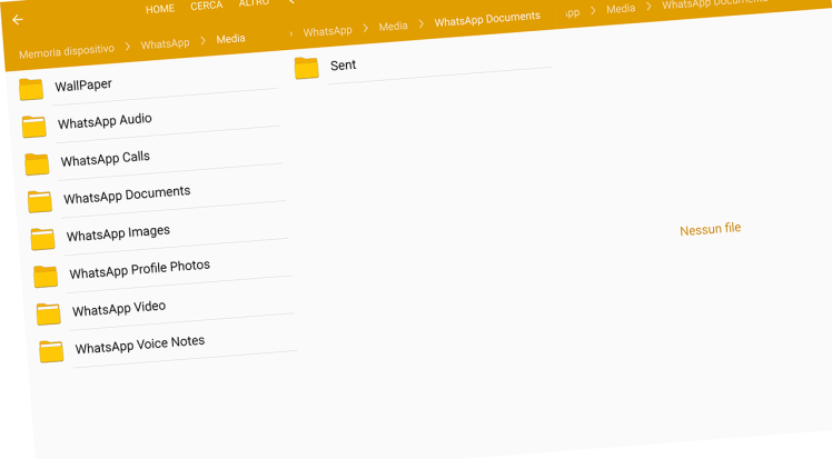 WhatsApp documenti cartella